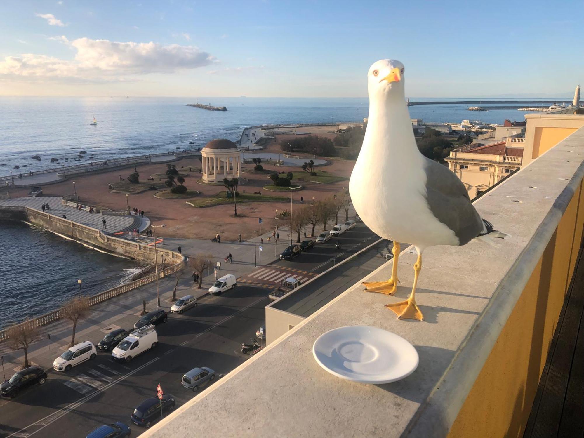 Livorno Apartment Kültér fotó